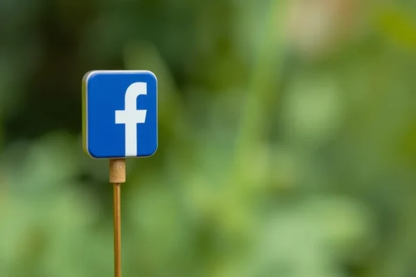 Comment télécharger vidéo Facebook facilement et rapidement