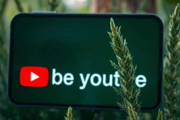 Comment telecharger video youtube facilement et rapidement