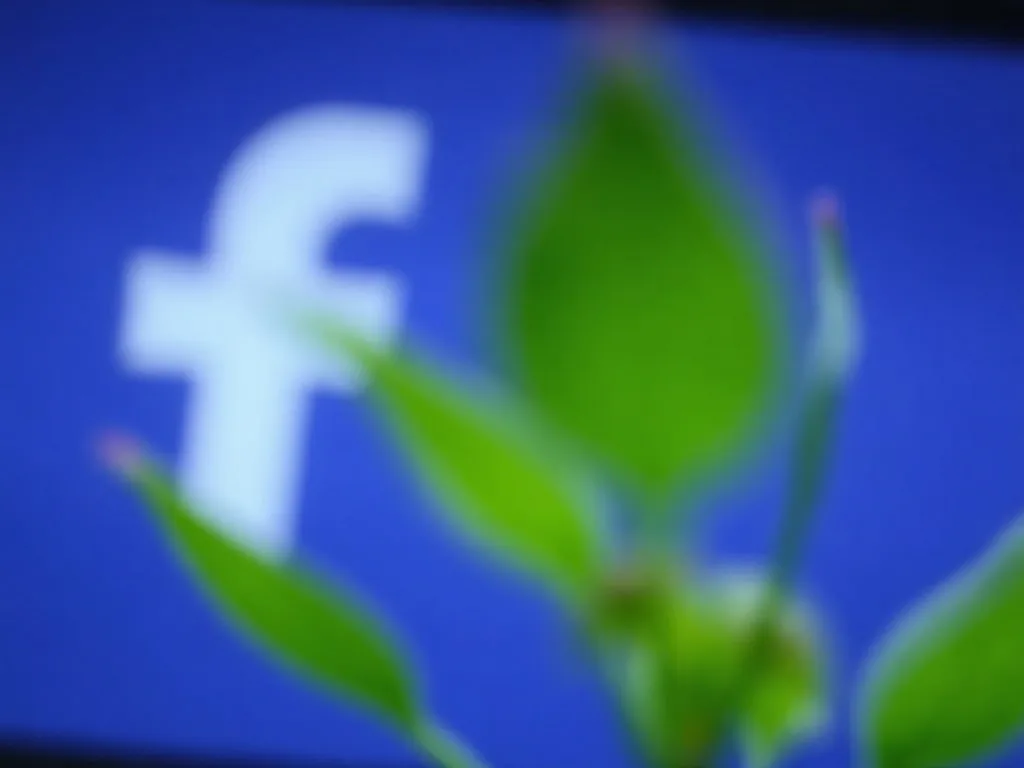 Comment telecharger une video facebook facilement